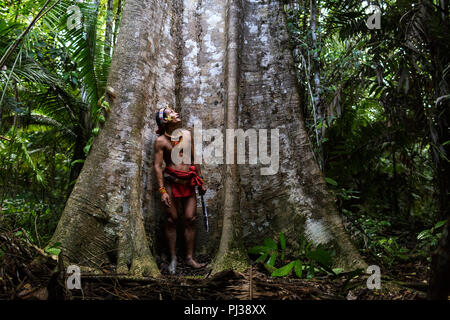 Junger Schamane mit Blumen und Schmuck geschmückt stehen bei alten hohen Baum in dichten Dschungel, Mentawai, Siberut, Sumatra, Indonesien Stockfoto