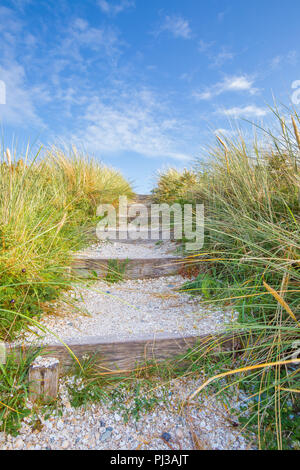 Low-angle Portraitfotos von aufsteigender Küstenweg Schritte, wilde Sanddüne Gräser wachsen beide Seiten. Meerblick erwartet die Wanderer, die Sie übertrieben. Stockfoto