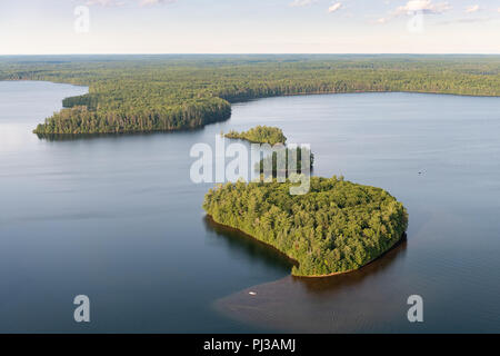 Alte Schädel auf Holz Wand Stockfoto