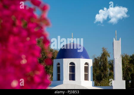 Rosafarbene Bougainvillea Blüten mit blauen Kuppeln der griechisch-orthodoxen Kirche mit Blick auf Thira Fira, Santorini Griechenland Stockfoto