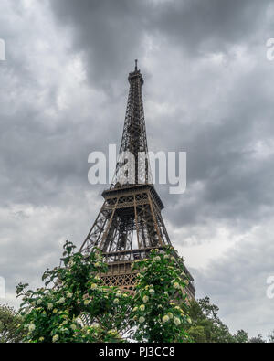 Eiffelturm mit Bäumen im forgorund Stockfoto