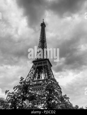 Eiffelturm mit Bäumen im forgorund Stockfoto