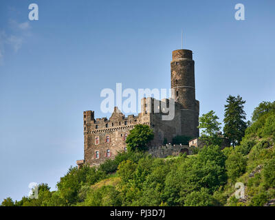 14. jahrhundert Maus Burg (Burg Maus, Maus Schloss) oberhalb des Ortes Wellmich (Teil von Sankt Goarshausen) in Rheinland-Pfalz, Deutschland. Stockfoto