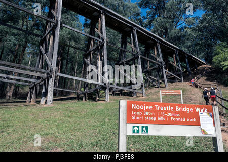 Noojee Gestellbrücke, Wanderweg, Victoria, Australien Stockfoto