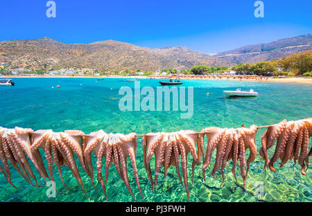 Traditionelle griechische Meer essen, Octopus, trocknen in der Sonne, Milopotas, Insel Ios, Kykladen, Griechenland Stockfoto