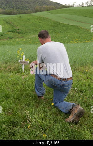 Mann am Kreuz von Toten pet Holding Kragen Stockfoto