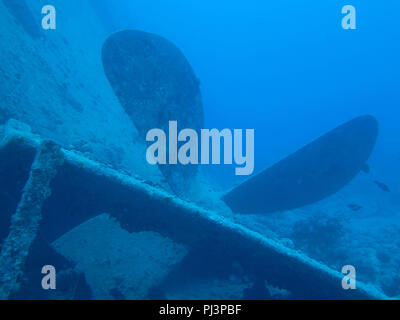 Propeller, Rack "Thistlegorm", Rotes Meer, Aegypten Stockfoto