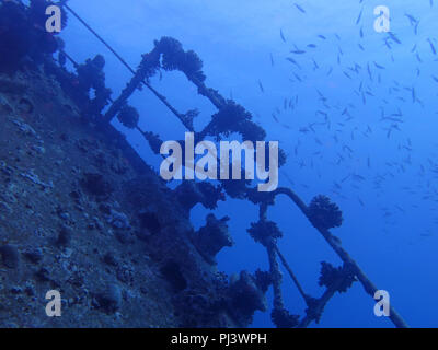 Reling, Rack 'Giannis D.', Rotes Meer, Aegypten Stockfoto