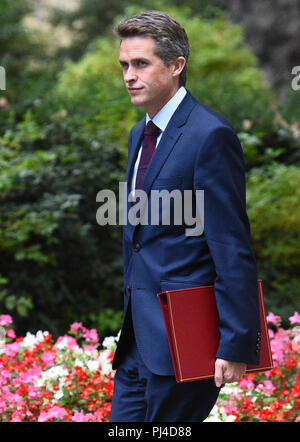 Verteidigungsminister, Gavin Williamson, kommt in Downing Street, London, für eine Sitzung. Stockfoto