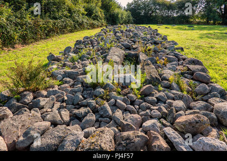 Stone Circle Friedhof in Skelde Süd Dänemark Stockfoto