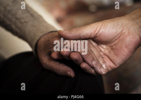 Nahaufnahme eines jungen kaukasischen Mann die Hand eines alten kaukasische Frau mit Zuneigung Stockfoto