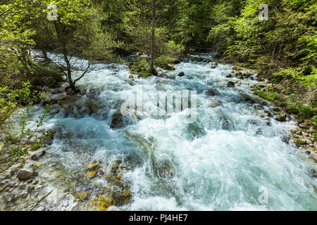 Wunderbare Natur, Wanderungen im Triglav Nationalpark in der Nähe von Ukanc und Slap Wasserfall Savica, Bohinj Tal und den See, Obere Krainer, Slowenien, Euro Stockfoto