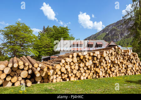 Wunderbare Natur, Protokolle, Triglav Nationalpark in der Nähe von Ukanc und Slap Wasserfall Savica, Bohinj Tal und den See, Obere Krainer, Slowenien, Europa Stockfoto