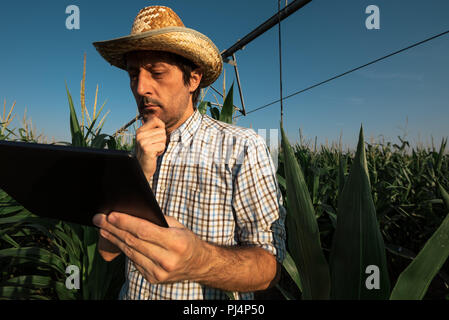 Ernsthafte betroffenen Landwirt mit Tablet Computer im Kornfeld mit Bewässerungsanlage außer Betrieb während der warmen Sommertag Stockfoto