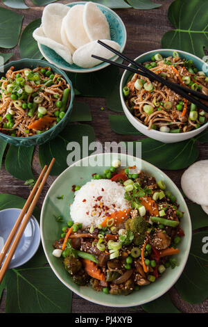 Chinesisches Essen mit Rindfleisch, Reis und Gemüse Stockfoto