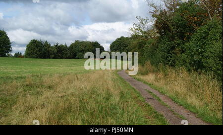 Newbold Comyn Nature Reserve, Leamington Spa, Großbritannien Stockfoto