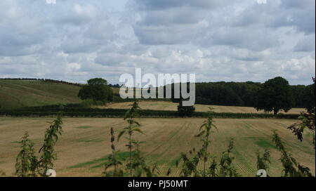 Newbold Comyn Nature Reserve, Leamington Spa, Großbritannien Stockfoto