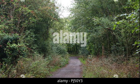 Newbold Comyn Nature Reserve, Leamington Spa, Großbritannien Stockfoto