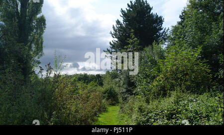 Newbold Comyn Nature Reserve, Leamington Spa, Großbritannien Stockfoto