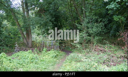 Newbold Comyn Nature Reserve, Leamington Spa, Großbritannien Stockfoto