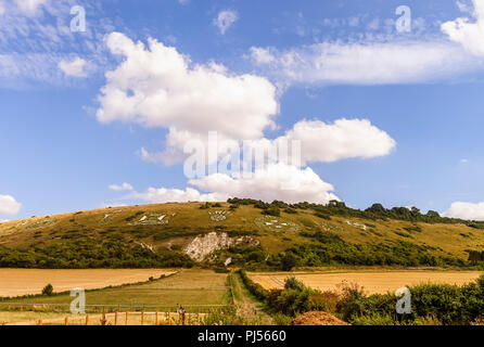 Die Fovant Badges sind ein Satz von regimental Abzeichen zu einem Chalk Hill Schnitt, fovant Unten, in der Nähe von Fovant, im Südwesten Wiltshire, England Stockfoto