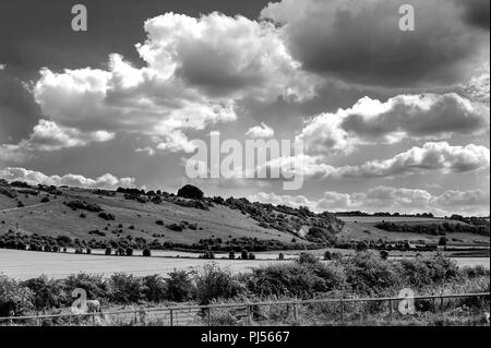 Die Fovant Badges sind ein Satz von regimental Abzeichen zu einem Chalk Hill Schnitt, fovant Unten, in der Nähe von Fovant, im Südwesten Wiltshire, England Stockfoto