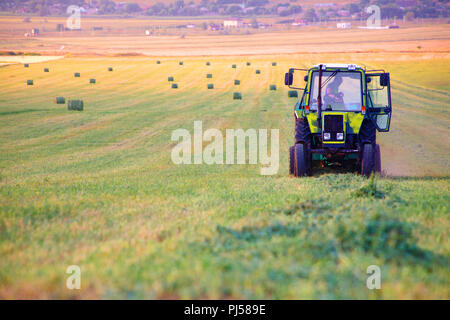 Der Bauer auf dem Traktor sammelt das Heu auf dem Feld in Ballen für die Lagerung für den Winter in der Scheune auf dem Bauernhof Stockfoto