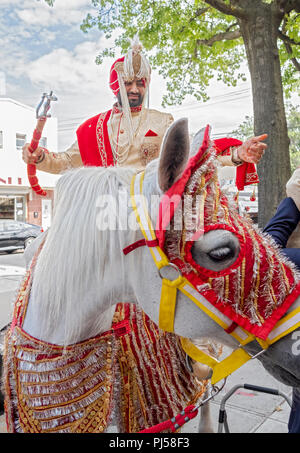 Gemäß der Tradition, ein Sikh Bräutigam auf einem weißen Pferd erhält lesen Sie zu seiner Hochzeit Zeremonie zu fahren. In Richmond Hill, Queens, NY Stockfoto