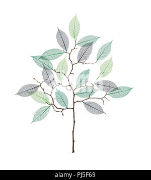 Stilisierten Baum mit Zweigen und Skelett Blätter isoliert auf weißem Stockfoto