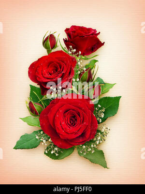 Romantisches Arrangement mit roten Rosen und gypsophila Blumen und Blüten sowie deren Knospen auf Papier Hintergrund. Flach. Ansicht von oben. Stockfoto
