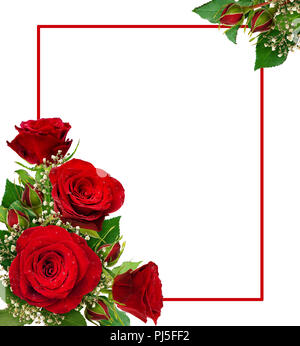 Ecke Vereinbarungen mit roten Rosen und gypsophila Blumen und Blüten sowie deren Knospen, geschnitten und auf weißem Hintergrund. Flach. Ansicht von oben. Stockfoto