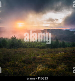 Misty Sonnenuntergang in Wicklow Mountains - Irland Stockfoto