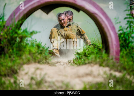 FORT Benning, Ga (Aug. 31, 2018) - Auszubildende von Delta Unternehmen, 2.Bataillon, 19 Infanterie Regiment, Zug auf der Sand Hill Hindernis-parcours in Fort Benning, Georgia, August 28. Das Bataillon ist mit Training und die Umwandlung von Zivilisten in disziplinierte, anpassungsfähige und flexible Infanteristen aufgeladen und bereit, die Mission der Infanterie Korps zu erreichen. (U.S. Armee Foto von Patrick A. Albright, Manöver, Center of Excellence, Fort Benning Public Affairs) Stockfoto