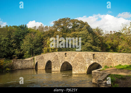 Merthyr Mawr Schafe Eintauchen Brücke Bridgend South Wales, im 15. Jahrhundert erbaut und lokal als Eintauchen Bridge bekannt Stockfoto