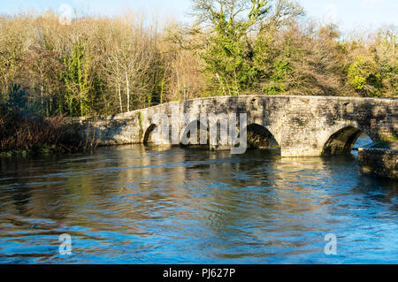 Die neue Inn Schafe eintauchen Brücke in der Nähe von Merthyr Mawr, Bridgend South Wales Stockfoto