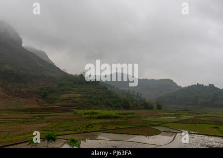 Ha Giang, Vietnam - März 17, 2018: Nass Reisfelder von nebligen Bergen umgeben Stockfoto