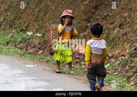 Ha Giang, Vietnam - März 17, 2018: Kinder der Hmong nomadischen Bevölkerung, landwirtschaftliche Arbeiten in den Bergen im Norden von Vietnam Stockfoto