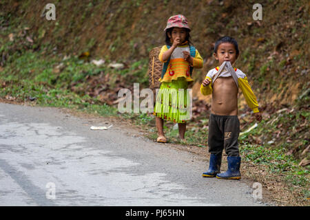 Ha Giang, Vietnam - März 17, 2018: Kinder der Hmong nomadischen Bevölkerung, landwirtschaftliche Arbeiten in den Bergen im Norden von Vietnam Stockfoto