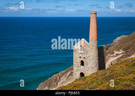 Die hl. Agnes, Cornwall, Großbritannien blauer Himmel über die Ruinen der Wheal Coates Zinnmine auf Atlantik nördlich der Küste von Cornwall in der Nähe von St Agnes. Ruinen von Wheal Coates Zinnmine Engine House, in der Nähe von St Agnes, Cornwall. Credit: Mark Richardson/Alamy leben Nachrichten Stockfoto