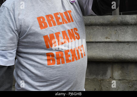 Westminster, London, Großbritannien. 5. September 2018. Pro-Brexit holding Plakat zu blockieren Parlament & die Brexit Verrat! März in Westminster, London, Großbritannien. 5. September 2018. Bild Capital/Alamy leben Nachrichten Stockfoto