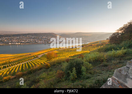 Panoramablick vom Niederwalddenkmal auf der deutschen Stadt Bingen und in die Region Rheinhessen Stockfoto