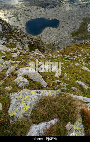 Wanderer Enthusiasten erreichen Parangul Mare, 2519 m Höhe, während der 3 Tage Wanderung. Parangul Mare ist der 4. höchsten Gipfel in Rumänien. Stockfoto