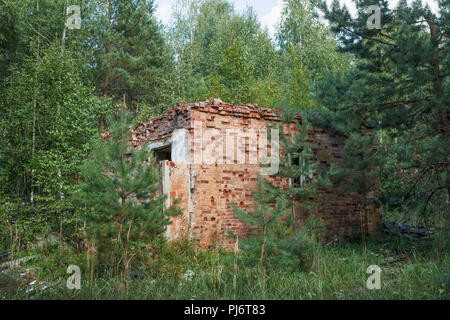 Auf der Lichtung sehen wir Ruinen der Gebäude im Wald verlassen Stockfoto