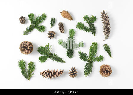 Satz von verschiedenen Kiefern und Tannen immergrüne Zweige und Zapfen auf weißem Hintergrund. Natürliche rustikale Hintergrund. Ansicht von oben, flach. Stockfoto