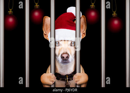 Mugshot eines weihnachten santa bösen Hund hinter Gittern in Gefängnis Stockfoto