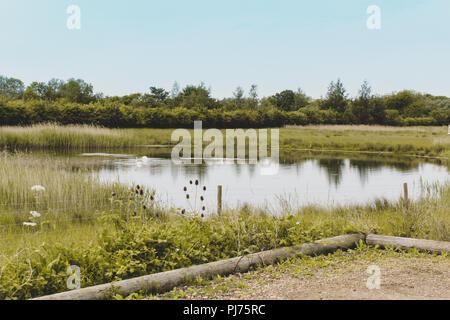 Kleiner See von Feldern und Grünflächen umgeben Stockfoto