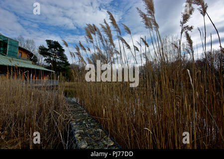 Ein steiniger Weg durch Reed führt zu einem Holzhaus Stockfoto