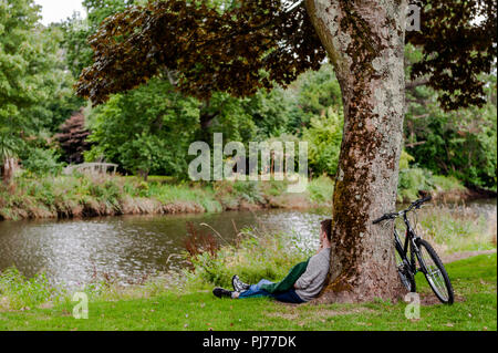 Junges Paar gegen einen Baum in Fitzgerald Park, Cork, Irland, in einem romantischen Moment lehnend. Stockfoto