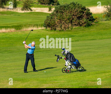 Älterer Mann mit Golfkarre Schwingen Golf Club Golf Ball auf Golfplatz in Sonne, Edinburgh, Schottland, Großbritannien Stockfoto