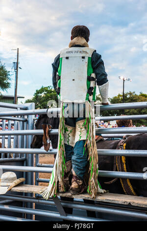 Cowboy für Texas Rodeo USA Getriebe Stockfoto